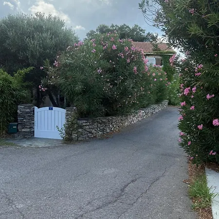 Carpediem Corsica Adult Only